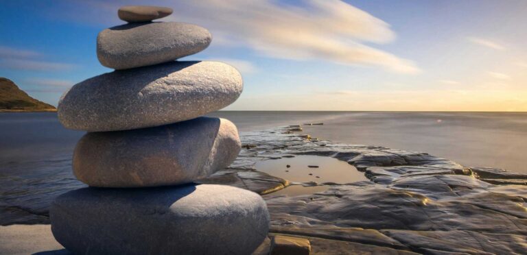 Mindfulness Principles